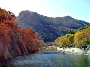 天天彩好彩天天免费，都市风流王